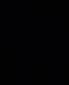 Screenshot_20260812_193130_Gallery.jpg