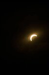 IMG_0063.jpeg
