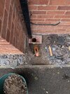 PXL_20260816_130639901.jpg