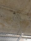IMG_5816.jpeg