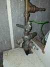 20260817_065246.jpg