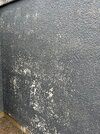 IMG_3154.jpg