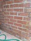 PXL_20260818_075323340.jpg