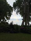 IMG_2361.jpeg