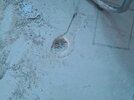 1000080180.jpg