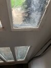 IMG_3200.jpeg