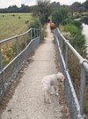 20260816_170130.jpg