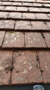 Garage roof tile.jpg
