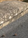 IMG_3482.jpeg