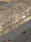 IMG_3481.jpeg
