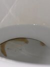 20260824_172957.jpg