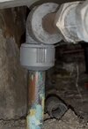 IMG_2909.jpeg