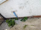 20260826_095838048.JPG