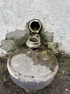 IMG_3679.jpeg