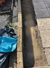 IMG_4661.jpeg
