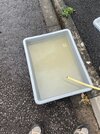 IMG_4151.jpeg