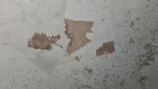 20260829_153757.jpg