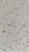 20260829_165725.jpg