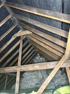 IMG_6473.jpeg
