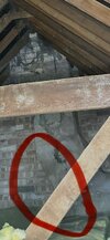 IMG_6555.jpeg