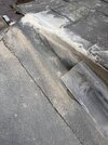 IMG_8399.jpeg