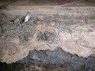 IMG_20260902_204023.jpg