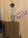 IMG_2876.jpeg