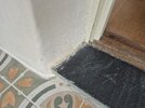 20260904_190221.jpg