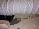 20260906_133513.jpg