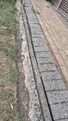 1000008587.jpg