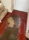 IMG_5724.jpeg