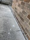 IMG_2420.jpeg