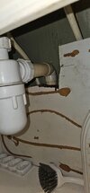 20260909_195218.jpg