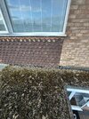 IMG_0046.jpeg