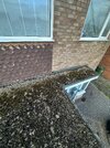 IMG_0047.jpeg