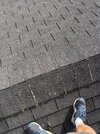 IMG_9177.jpeg