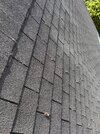 IMG_9178.jpeg