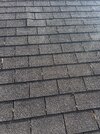 IMG_9176.jpeg