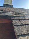 IMG_9179.jpeg