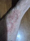 PXL_20260916_174421078.jpg