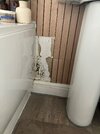 IMG_4080.jpeg