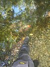 20260921_140517.jpg