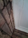 20260924_175313.jpg