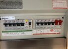 IMG_8951.jpeg