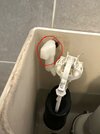 IMG_5130.jpeg