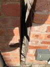 IMG_2302.jpeg