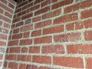 PXL_20260927_092118924.jpg