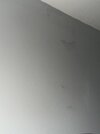IMG_7761.jpeg