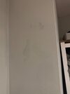 IMG_7759.jpeg