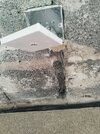 IMG_20261002_122651.jpg